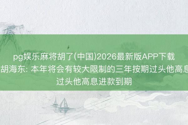 pg娱乐麻将胡了(中国)2026最新版APP下载 宁波银行胡海东: 本年将会有较大限制的三年按期过头他高息进款到期