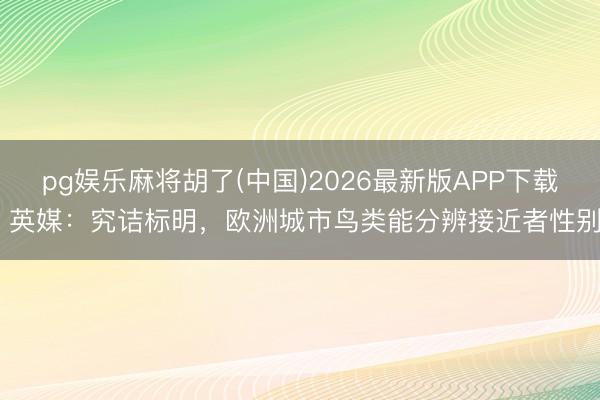 pg娱乐麻将胡了(中国)2026最新版APP下载 英媒：究诘标明，欧洲城市鸟类能分辨接近者性别