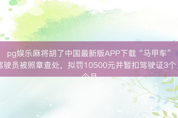pg娱乐麻将胡了中国最新版APP下载 “马甲车”驾驶员被照章查处，拟罚10500元并暂扣驾驶证3个月