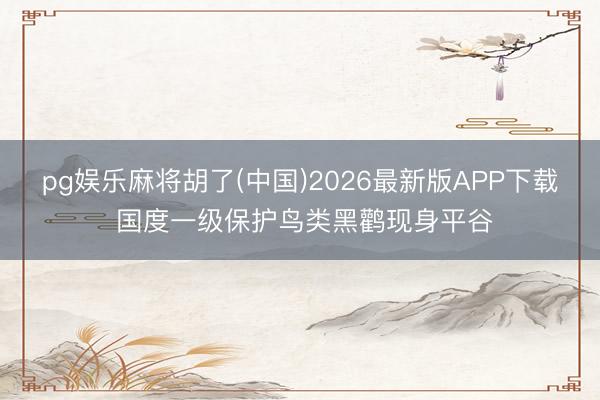 pg娱乐麻将胡了(中国)2026最新版APP下载 国度一级保护鸟类黑鹳现身平谷