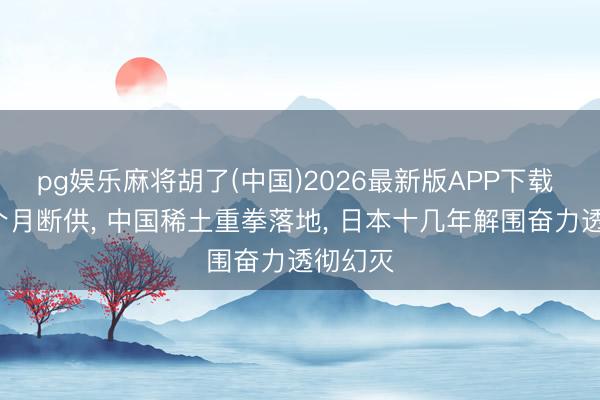 pg娱乐麻将胡了(中国)2026最新版APP下载 流畅4个月断供， 中国稀土重拳落地， 日本十几年解围奋力透彻幻灭