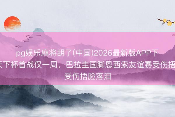pg娱乐麻将胡了(中国)2026最新版APP下载 距天下杯首战仅一周，巴拉圭国脚恩西索友谊赛受伤捂脸落泪