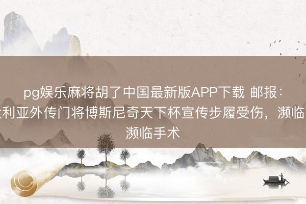 pg娱乐麻将胡了中国最新版APP下载 邮报：澳大利亚外传门将博斯尼奇天下杯宣传步履受伤，濒临手术