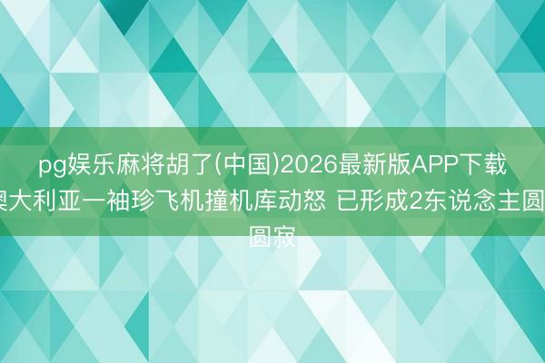 pg娱乐麻将胡了(中国)2026最新版APP下载 澳大利亚一袖珍飞机撞机库动怒 已形成2东说念主圆寂
