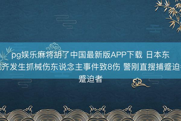 pg娱乐麻将胡了中国最新版APP下载 日本东京齐发生抓械伤东说念主事件致8伤 警刚直搜捕蹙迫者