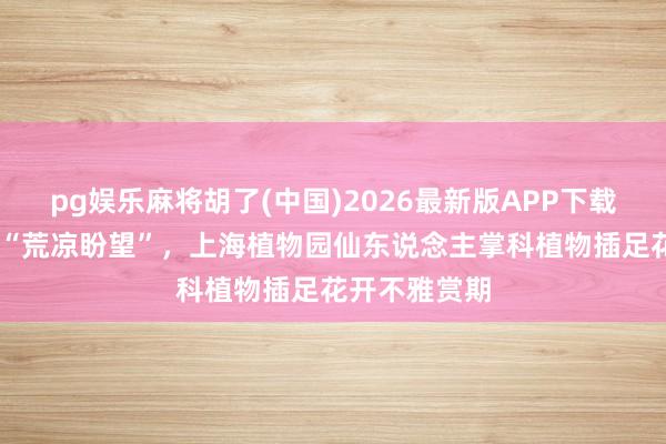 pg娱乐麻将胡了(中国)2026最新版APP下载 梅雨季里寻“荒凉盼望”，上海植物园仙东说念主掌科植物插足花开不雅赏期
